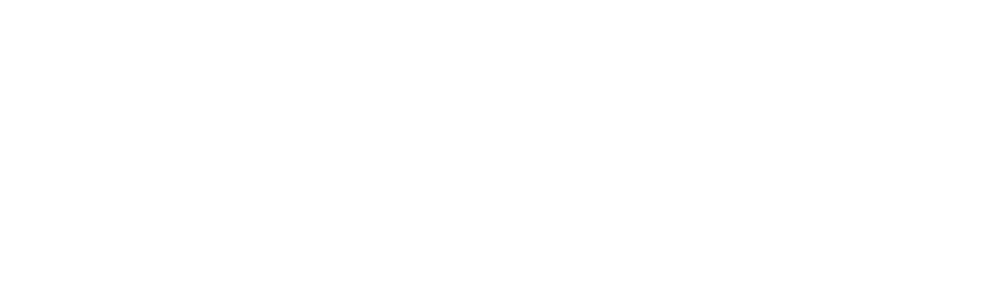 brain0 logo